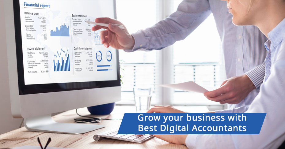 Digital Accountants